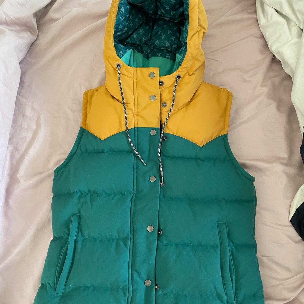 Patagonia vest